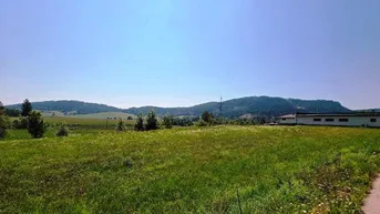 Expose Großes Grundstück mit viel Sonne, Bauland und Landwirtschaft in Liebenfels/Lorberhof