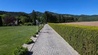 Langer gepflasterter Weg mit grüner Hecke und Rasenfläche unter blauem Himmel.