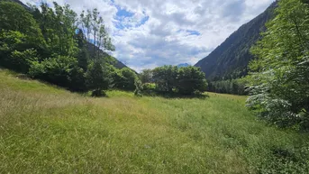 Expose Traumhaftes Baugrundstück in idyllischer Lage nahe Flattach, Kärnten - nur 199.000,00 €!
