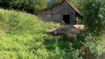 Expose St Veit / St Donat : 2,7 Ha Land- und Forstw. -Grundstück mit Widmungpotenzial , zzt Pferde Weide mit Stall &amp; Quelle, in traumhafter Lage in Kärnten - für 349.000,00 € zu haben!