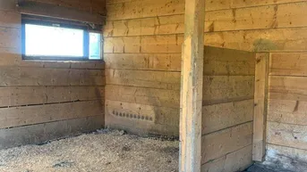 Expose St Veit / St Donat : 2,7 Ha Land- und Forstw. -Grundstück mit Widmungpotenzial , zzt Pferde Weide mit Stall &amp; Quelle, in traumhafter Lage in Kärnten - für 349.000,00 € zu haben!