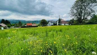 Expose Ruhiges Landleben - Waldrand - Nähe Ferlach und Klagenfurt!