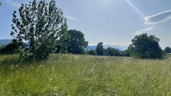 Expose Großzügiges Grundstück im Rosental!