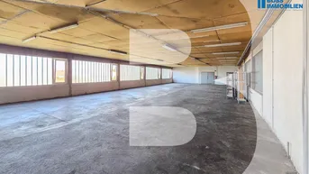 Expose große Lagerfläche - 330 m² Nutzfläche