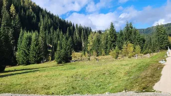 Expose Wunderschönes Grundstück mit Bachlauf auf der Flattnitz