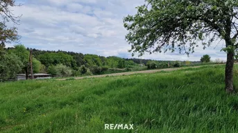 Expose Sonniges Grundstück. Bauen wo andere Urlaub machen