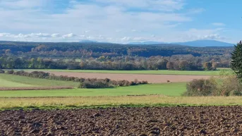 Expose Fast ebenes, großes Baugrundstück in sonniger Aussichtslage