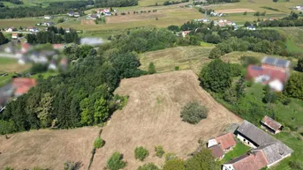 Expose sanierungsbedürftiger Dreikanthof mit 1,9 ha Eigengrund im Südburgenland