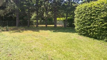 Expose Bad Fischau: Wunderschönes Einfamilienhaus mit Keller, Wintergarten, Carport und tollem Garten in ruhiger Lage