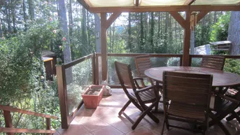 Geräumige überdachte Terrasse mit Holztisch und Stühlen, umgeben von üppigem Grün und Bäumen.