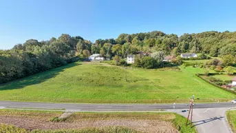 Expose Jennersdorf: 11.536 m² großes Bau- und Freilandgrundstück am Fuße des Tafelbergs