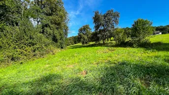 Expose Land &amp; Gut: Kleinod in End-, Ruhe- &amp; Südhang-Lage im Kremstal!
