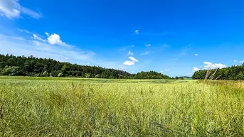 Expose Land &amp; Gut: 4 ha - TOP Feld mit Wald in Wels