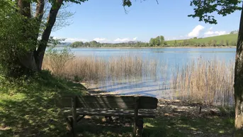 Expose Sehr selten - Badeplätze am Mattsee zum Kauf