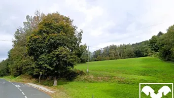 Expose Wiese und Wald Nähe Ludmannsdorf