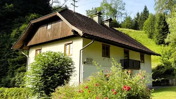 Expose Kleine Landwirtschaft nahe dem Weissensee