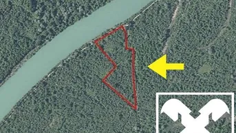 Expose Die Natur ruft! Ebene Waldflächen an der Drau und dem Drauradweg