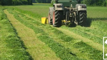 Expose Kleine Landwirtschaft mit renoviertem Wohnhaus und Nebengebäuden