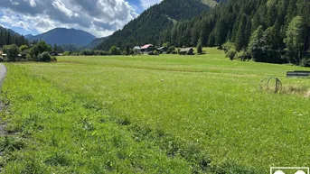 Expose Baugrundstück in Stockenboi