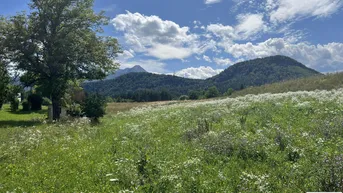Expose Ruhiges Idyll am Waldrand