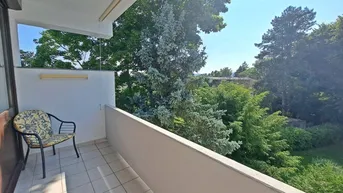 Expose Top 4 1/2 Zimmer Wohnung mit Wintergarten und Loggia in Baden - Nähe Schloss Leesdorf in Grünruhelage