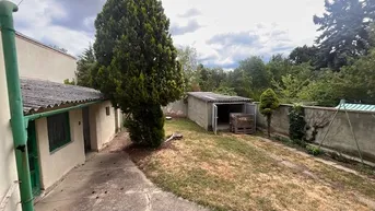 Blick auf den Gartenbereich mit Rasenfläche, einem Schuppen und hohen Bäumen im Hintergrund.