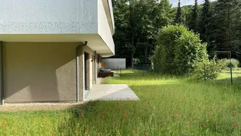 Expose Familienparadies im Grünen: 4-Zimmer-Wohnung mit 240 m² Garten beim Wienerwald - zu kaufen in 2391 Kaltenleutgeben