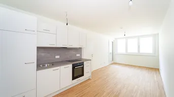 Expose Sonnige 2-Zimmer-Dachgeschoßwohnung mit Terrasse -Erstbezug - zu mieten in 1020 Wien