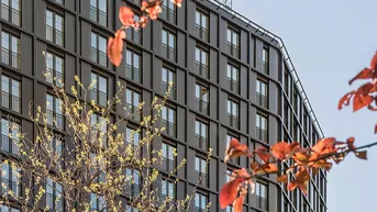 Expose Erstbezug: 302 Mietwohnungen im Neubauprojekt „DC Flats“ in 1220 zu mieten