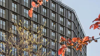 Expose Sonnige 3-Zimmer-Wohnung – Erstbezug in den DC Flats - zu mieten in 1220 Wien