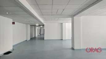 Expose Modernes Büro im 5. Stock in der nähe vom Belvedere-Garten- 1030 Wien- zu mieten