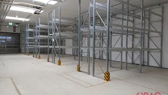 Geräumige Lagerhalle mit hohen Decken, Betonboden und installierten Metallregalen für effiziente Lagerung.