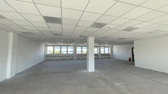 Großer, leerer Büroraum mit abgehängter Decke, Betonboden und vielen Fenstern für Tageslicht.