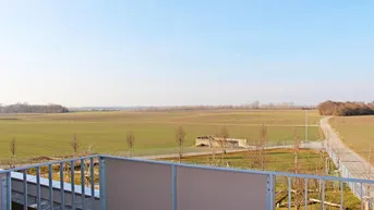 Expose Neubau! Geförderte 3 Zimmerwohnung mit Balkon in Absdorf!