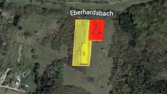 Expose Verwilderter, mit alten Sorten bestückter Obstgarten im Moment als Wald gewidmet mit RODUNGSBESCHEID