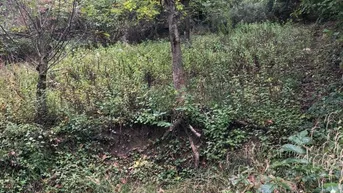 Expose Grund mit Hütte für Ruhe und SEELE