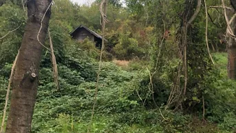 Expose Grund mit Hütte für Ruhe und SEELE