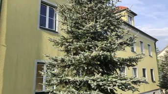 Expose 3 geräumige Zimmer, Küche mit Essplatz, Gartennutzung und PKW Stellplatz