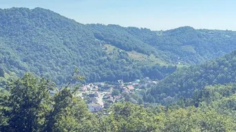 Expose Mischwald mit Zufahrt und Aussicht