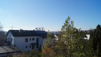 Expose Sonniges Grundstück mit Altbestand in ruhiger Siedlungslage I Leonding