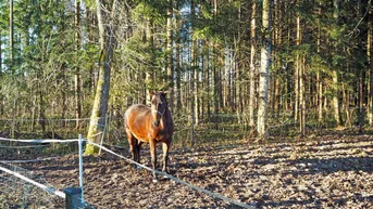 Expose Reiterhof / Landwirtschaftliches Gut, Gmunden am Traunsee