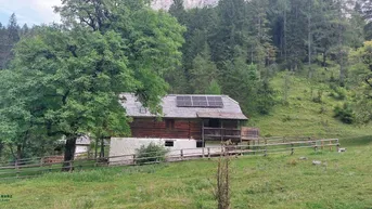 Expose Alm über 100 ha im Salzburger Land