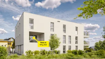 Expose Geräumige 2-Zimmer-Terrassenwohnung | A02