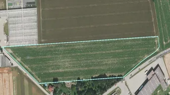 Expose B Widmung und MB Widmung auf Basis Baurecht Ab 3000 m2 Baurecht zu vergeben