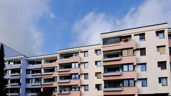 Expose Sonnige und ruhig gelegene 3-Zimmer-Wohnung mit Loggia in Donaunähe/Winterhafen