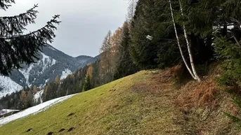 Expose Grundstück in Hüttau im Fritztal auf ca 1400 Meter inkl. genehmigten Plan für ein Landhaus (Chalet)