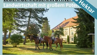 Expose LANDWIRTSCHAFT MIT GROßEM HERRENHAUS