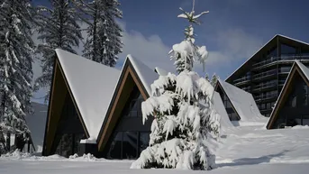 Expose Buy-to-Let Alpine Lodges