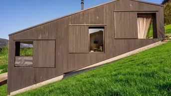 Modernes Haus mit dunkler Holzfassade und schrägem Dach, eingebettet in eine grüne Wiese.