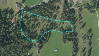Expose Eingezäuntes Freilandgrundstück Nähe Seefeld